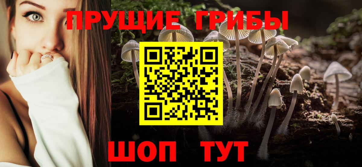 Орехово-Зуево  Псилоцибиновые грибы GOLDEN TEACHER  Вход с VPN 