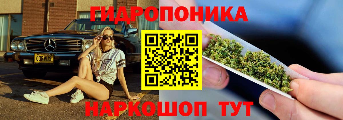 Шишки марихуана семена Орехово-Зуево